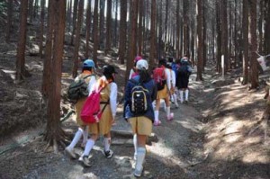 山火事防止